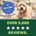 TropiClean Tearless Eye Wipes For Dog & Cat - Daily Use - Dermatologist Approved - 50 Count image thumbnail 7