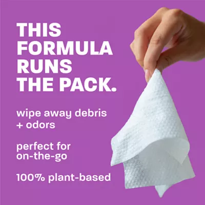 TropiClean Hypoallergenic Wipes for Cats -Hypoallergenic- Kitten Safe - Unscented - 100 Count - Image 3