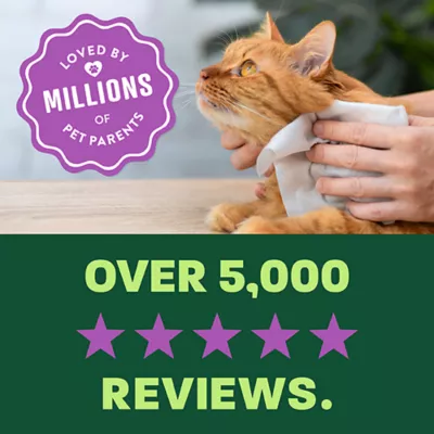 TropiClean Hypoallergenic Wipes for Cats -Hypoallergenic- Kitten Safe - Unscented - 100 Count - Image 6