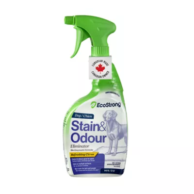 EcoStrong Dog Stain & Odour Elimiantor - Image 1