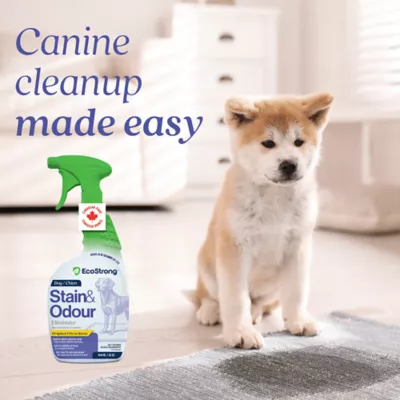 EcoStrong Dog Stain & Odour Elimiantor - Image 2