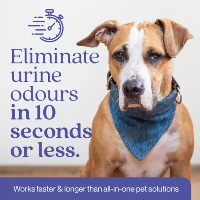 EcoStrong Dog Stain & Odour Elimiantor - Image 6