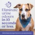 EcoStrong Dog Stain & Odour Elimiantor image thumbnail 6