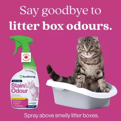 EcoStrong Cat Stain & Odour Eliminator - Image 6