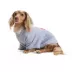 HOTEL DOGGY "Play to Win" Raglan Flag Dog T-Shirt image thumbnail 2