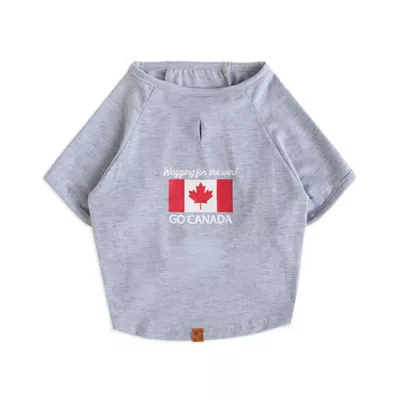 Product HOTEL DOGGY "Play to Win" Raglan Flag Dog T-Shirt