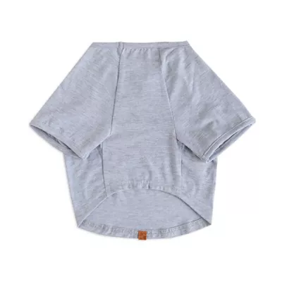 Product HOTEL DOGGY "Play to Win" Raglan Flag Dog T-Shirt