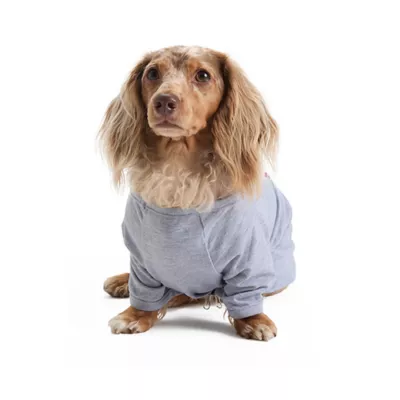 Product HOTEL DOGGY "Play to Win" Raglan Flag Dog T-Shirt