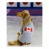 HOTEL DOGGY "Play to Win" Raglan Flag Dog T-Shirt image thumbnail 6