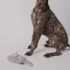 Product Buckle-Down Rick and Morty Portal Gun Plush Dog Toy