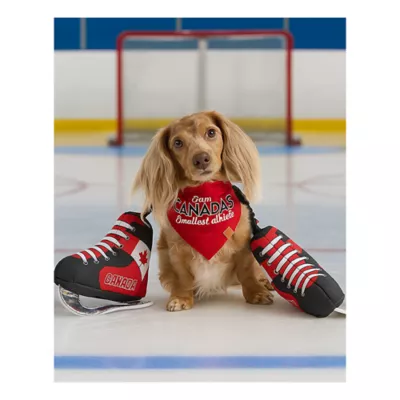 Product HOTEL DOGGY Ice Hockey Skates Dog Toy with Tug Rope