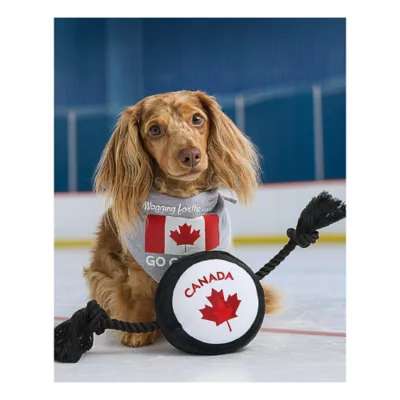 Product HOTEL DOGGY Ice Hockey Puck Dog Toy with Rope