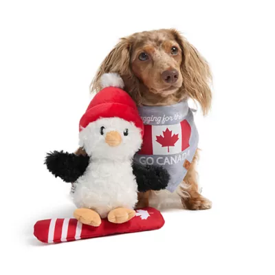 Product HOTEL DOGGY Snow Surfing Penguin Dog Toy