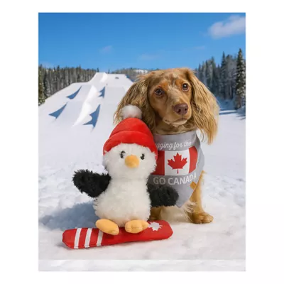 Product HOTEL DOGGY Snow Surfing Penguin Dog Toy