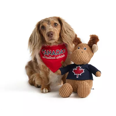 Product HOTEL DOGGY Winter Moose Dog Toy