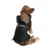 HOTEL DOGGY "Play to Win" Reversible Dog Raincoat image thumbnail 1