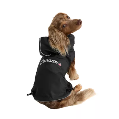 HOTEL DOGGY "Play to Win" Reversible Dog Raincoat - Image 1