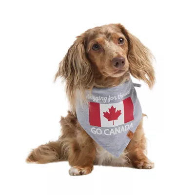 HOTEL DOGGY "Wagging for the Win" Jersey Dog Bandana - Image 1
