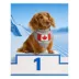 HOTEL DOGGY "Wagging for the Win" Jersey Dog Bandana image thumbnail 3