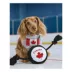 HOTEL DOGGY "Wagging for the Win" Jersey Dog Bandana image thumbnail 5