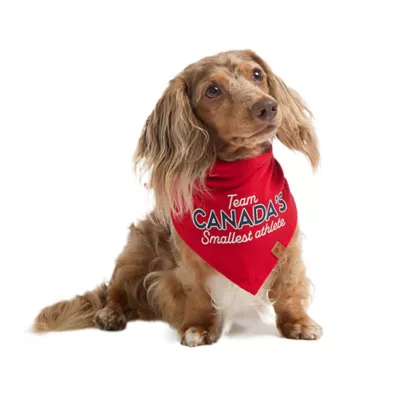 HOTEL DOGGY "Smallest Athlete" Jersey Dog Bandana - Image 1