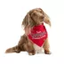 HOTEL DOGGY "Smallest Athlete" Jersey Dog Bandana image thumbnail 1