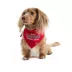HOTEL DOGGY "Smallest Athlete" Jersey Dog Bandana image thumbnail 2