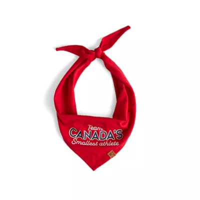 Product HOTEL DOGGY "Smallest Athlete" Jersey Dog Bandana