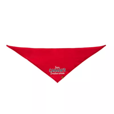 Product HOTEL DOGGY "Smallest Athlete" Jersey Dog Bandana