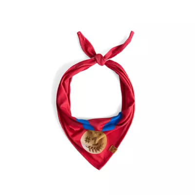 Product HOTEL DOGGY "Play to Win" Jersey Dog Bandana