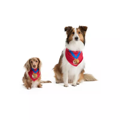 Product HOTEL DOGGY "Play to Win" Jersey Dog Bandana