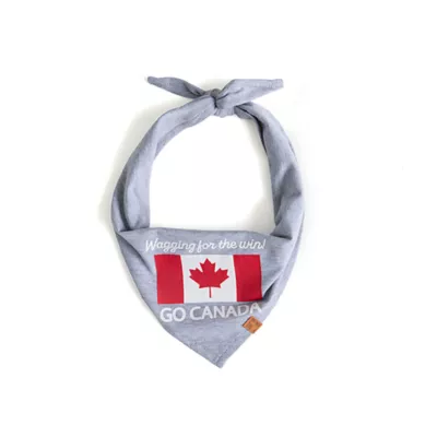 Product HOTEL DOGGY "Wagging for the Win" Jersey Dog Bandana