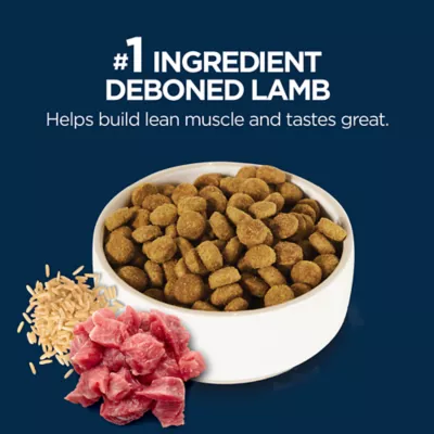 Authority® Everyday Health Adult Dry Dog Food - Lamb & Rice, 34 lb - Image 4