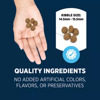 Authority® Everyday Health Adult Dry Dog Food - Lamb & Rice, 34 lb - Image 5