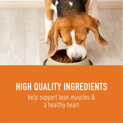 Simply Nourish® Source Adult Dry Dog Food - Lamb, Pork & Boar, Grain Free - Image 4