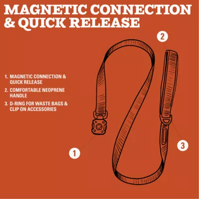 Arcadia Trail® Magnetic Leash - Image 3