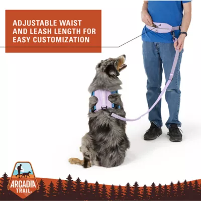 Arcadia Trail® Hands Free Running Dog Leash - Image 5