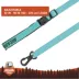 Arcadia Trail® Light Weight Hands Free Leash image thumbnail 2