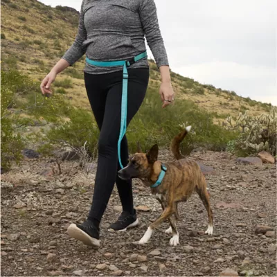 Arcadia Trail® Light Weight Hands Free Leash - Image 5