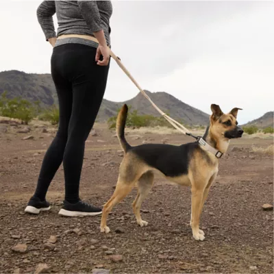 Arcadia Trail® Light Weight Hands Free Leash - Image 5