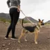 Arcadia Trail® Light Weight Hands Free Leash image thumbnail 5