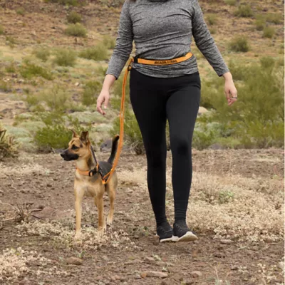 Arcadia Trail® Light Weight Hands Free Leash - Image 5