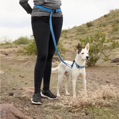 Arcadia Trail® Light Weight Hands Free Leash - Image 5