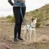 Arcadia Trail® Light Weight Hands Free Leash image thumbnail 5