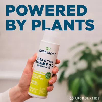 Wondercide Natural Flea & Tick Shampoo for Dogs and Cats, Kills and Repels, Lemongrass scent, 12 oz - Image 4