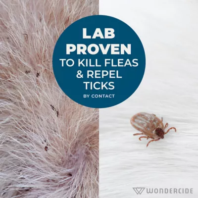 Wondercide Natural Flea & Tick Shampoo for Dogs and Cats, Kills and Repels, Lemongrass scent, 12 oz - Image 6