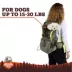 Arcadia Trail® Outdoor Backpack Dog Carrier - For dogs 15-30 LBS - Black, Green image thumbnail 2