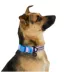 Arcadia Trail® Magnetic Collar image thumbnail 2