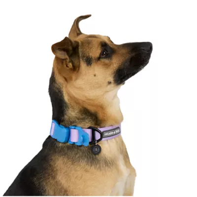 Arcadia Trail® Magnetic Collar - Image 2
