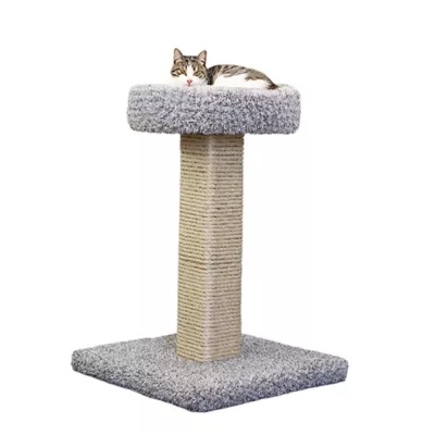 Product Prestige Solid Wood Cat Scratcher with Bed